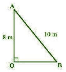 NCERT Solutions Class 10 Mathematics Triangles