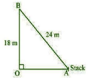 NCERT Solutions Class 10 Mathematics Triangles