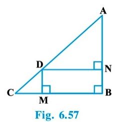 NCERT Solutions Class 10 Mathematics Triangles