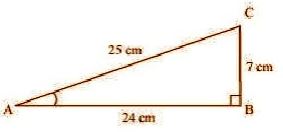 NCERT Solutions Class 10 Mathematics Introduction To Trigonometry