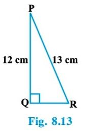 NCERT Solutions Class 10 Mathematics Introduction To Trigonometry