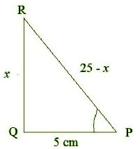 NCERT Solutions Class 10 Mathematics Introduction To Trigonometry