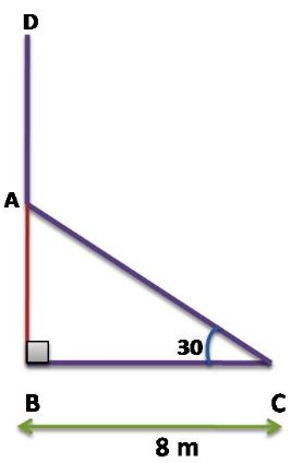 NCERT Solutions Class 10 Mathematics Application To Trigonometry