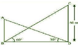 NCERT Solutions Class 10 Mathematics Application To Trigonometry