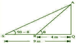 NCERT Solutions Class 10 Mathematics Application To Trigonometry