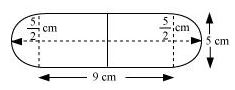 NCERT Solutions Class 10 Mathematics Surface Areas and Volumes