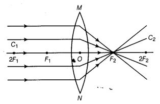 NCERT Solutions Class 10 Science Light Reflection and Refraction