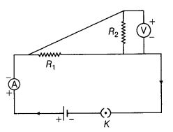 NCERT Solutions Class 10 Science Human Eye and Colourful World