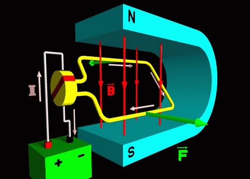 NCERT Solutions Class 10 Science Magnetic Effects of Electric Current