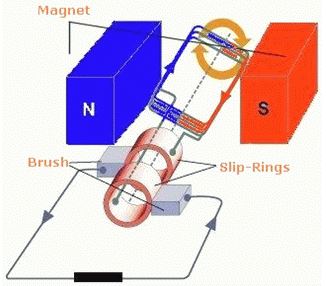 NCERT Solutions Class 10 Science Magnetic Effects of Electric Current