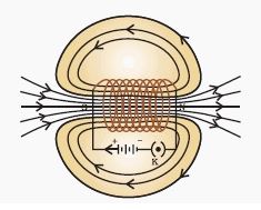 NCERT Solutions Class 10 Science Magnetic Effects of Electric Current