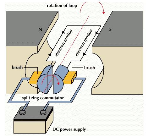 NCERT Solutions Class 10 Science Magnetic Effects of Electric Current