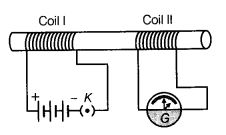 NCERT Solutions Class 10 Science Magnetic Effects of Electric Current