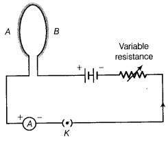 NCERT Solutions Class 10 Science Magnetic Effects of Electric Current