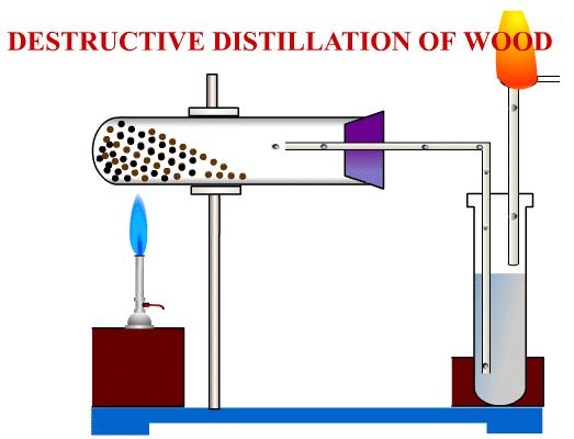 NCERT Solutions Class 10 Science Sources of Energy