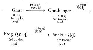 NCERT Solutions Class 10 Science our environment