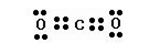 NCERT Solutions Class 10 Science Carbon and its Compounds