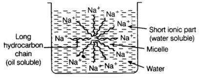 NCERT Solutions Class 10 Science Carbon and its Compounds