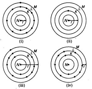 NCERT Solutions Class 10 Science Periodic Classification of Elements