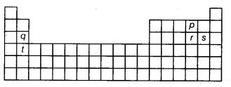 NCERT Solutions Class 10 Science Periodic Classification of Elements