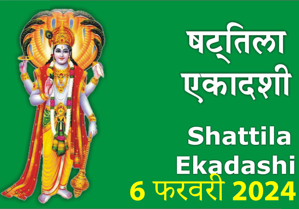 Shattila Ekadashi Vrat Katha