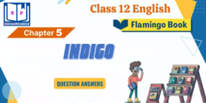 English Flamingo NCERT Indigo